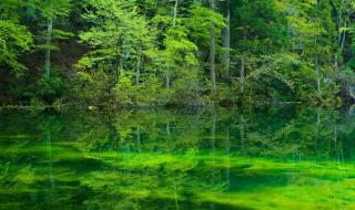 形容绿水青山的句子 青山绿水的诗句